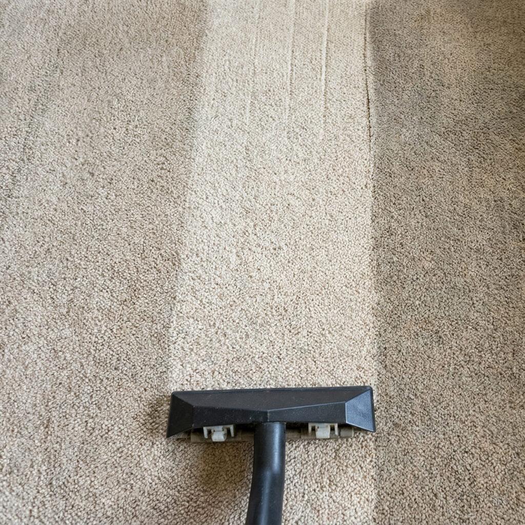 carpet cleaning img 02